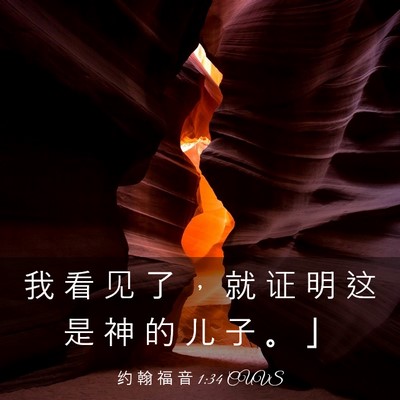Picture 03 - 约 翰 福 音 1:34 CUVS - 我 看 见 了 ， 就 证 明 这 是 神 的 - Bible Verse Picture