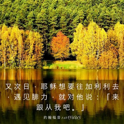 Picture 03 - 约 翰 福 音 1:43 CUVS - 又 次 日 ， 耶 稣 想 要 往 加 利 利 - Bible Verse Picture