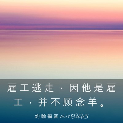 Picture 03 - 约 翰 福 音 10:13 CUVS - 雇 工 逃 走 ， 因 他 是 雇 工 ， 并 - Bible Verse Picture