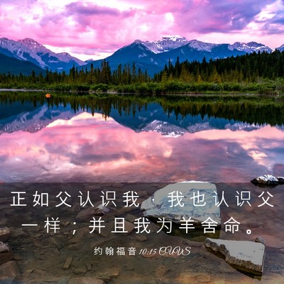 Picture 03 - 约 翰 福 音 10:15 CUVS - 正 如 父 认 识 我 ， 我 也 认 识 父 - Bible Verse Picture