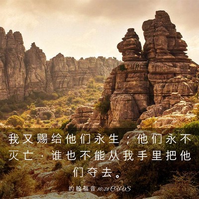 Picture 03 - 约 翰 福 音 10:28 CUVS - 我 又 赐 给 他 们 永 生 ； 他 们 永 - Bible Verse Picture