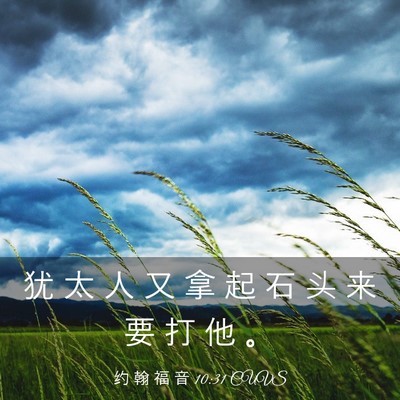 Picture 03 - 约 翰 福 音 10:31 CUVS - 犹 太 人 又 拿 起 石 头 来 要 打 他 - Bible Verse Picture