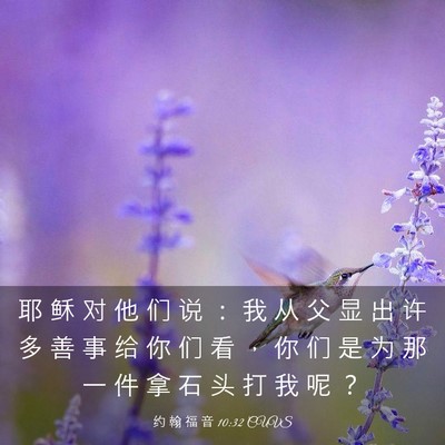 Picture 03 - 约 翰 福 音 10:32 CUVS - 耶 稣 对 他 们 说 ： 我 从 父 显 出 - Bible Verse Picture