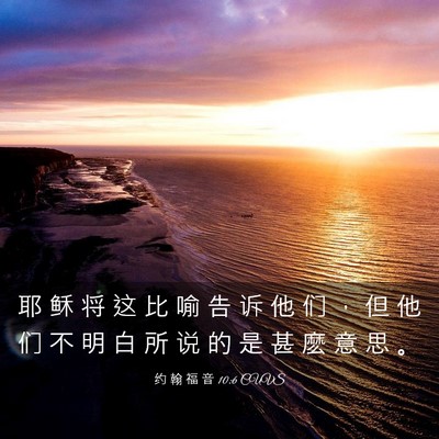 Picture 03 - 约 翰 福 音 10:6 CUVS - 耶 稣 将 这 比 喻 告 诉 他 们 ， 但 - Bible Verse Picture