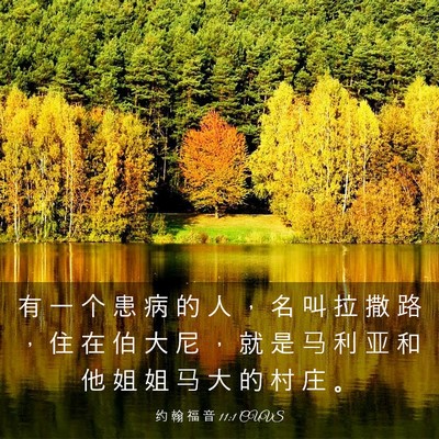 Picture 03 - 约 翰 福 音 11:1 CUVS - 有 一 个 患 病 的 人 ， 名 叫 拉 撒 - Bible Verse Picture