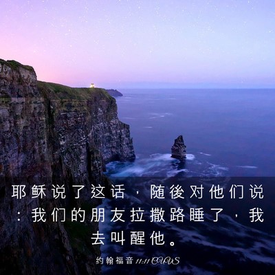 Picture 03 - 约 翰 福 音 11:11 CUVS - 耶 稣 说 了 这 话 ， 随 後 对 他 们 - Bible Verse Picture