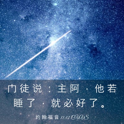 Picture 03 - 约 翰 福 音 11:12 CUVS - 门 徒 说 ： 主 阿 ， 他 若 睡 了 ， - Bible Verse Picture