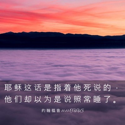 Picture 03 - 约 翰 福 音 11:13 CUVS - 耶 稣 这 话 是 指 着 他 死 说 的 ， - Bible Verse Picture