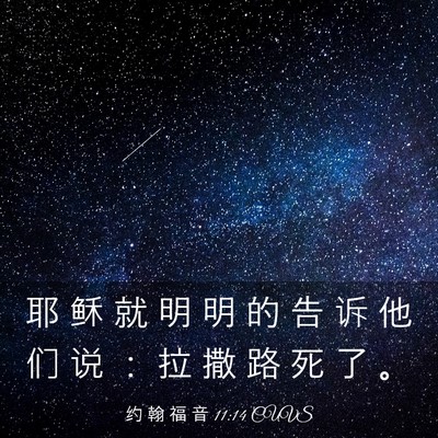 Picture 03 - 约 翰 福 音 11:14 CUVS - 耶 稣 就 明 明 的 告 诉 他 们 说 ： - Bible Verse Picture