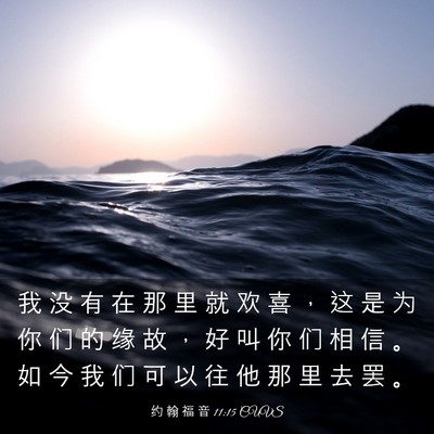 Picture 03 - 约 翰 福 音 11:15 CUVS - 我 没 有 在 那 里 就 欢 喜 ， 这 是 - Bible Verse Picture