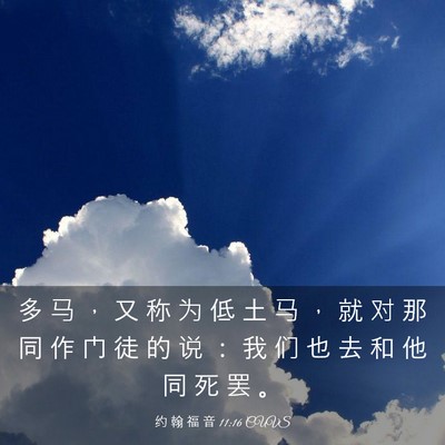 Picture 03 - 约 翰 福 音 11:16 CUVS - 多 马 ， 又 称 为 低 土 马 ， 就 对 - Bible Verse Picture