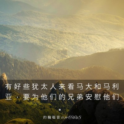 Picture 03 - 约 翰 福 音 11:19 CUVS - 有 好 些 犹 太 人 来 看 马 大 和 马 - Bible Verse Picture