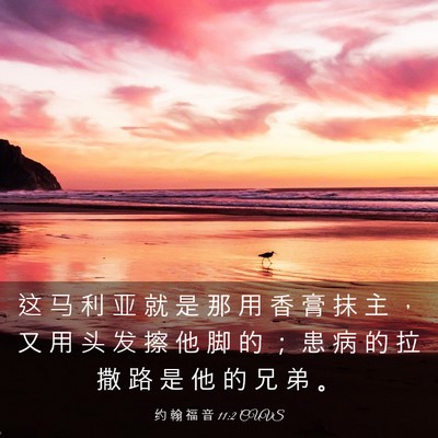 Picture 03 - 约 翰 福 音 11:2 CUVS - 这 马 利 亚 就 是 那 用 香 膏 抹 主 - Bible Verse Picture