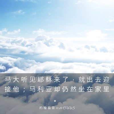 Picture 03 - 约 翰 福 音 11:20 CUVS - 马 大 听 见 耶 稣 来 了 ， 就 出 去 - Bible Verse Picture