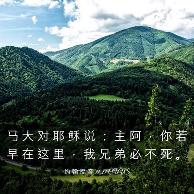 Picture 03 - 约 翰 福 音 11:21 CUVS - 马 大 对 耶 稣 说 ： 主 阿 ， 你 若 - Bible Verse Picture