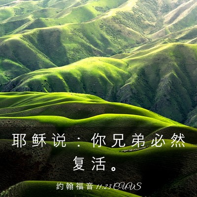 Picture 03 - 约 翰 福 音 11:23 CUVS - 耶 稣 说 ： 你 兄 弟 必 然 复 活 - Bible Verse Picture