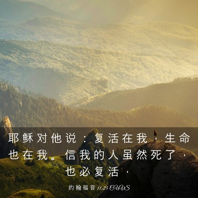 Picture 03 - 约 翰 福 音 11:25 CUVS - 耶 稣 对 他 说 ： 复 活 在 我 ， 生 - Bible Verse Picture