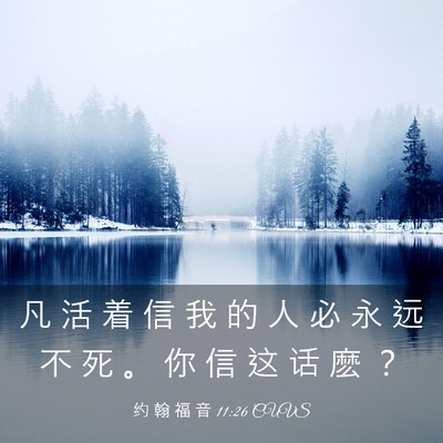 Picture 03 - 约 翰 福 音 11:26 CUVS - 凡 活 着 信 我 的 人 必 永 远 不 死 - Bible Verse Picture
