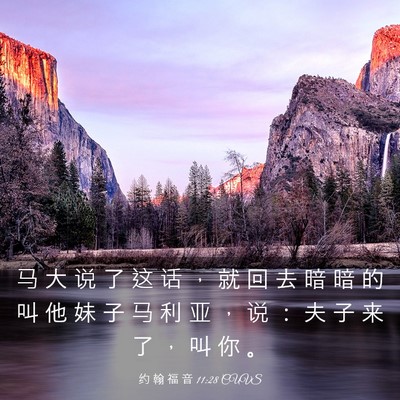 Picture 03 - 约 翰 福 音 11:28 CUVS - 马 大 说 了 这 话 ， 就 回 去 暗 暗 - Bible Verse Picture