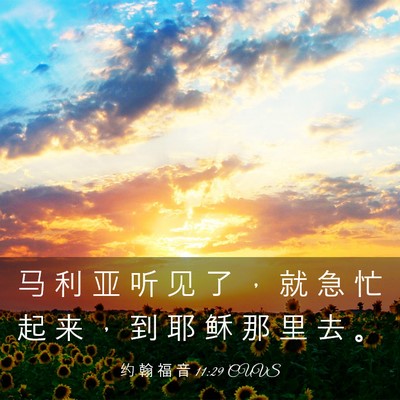 Picture 03 - 约 翰 福 音 11:29 CUVS - 马 利 亚 听 见 了 ， 就 急 忙 起 来 - Bible Verse Picture
