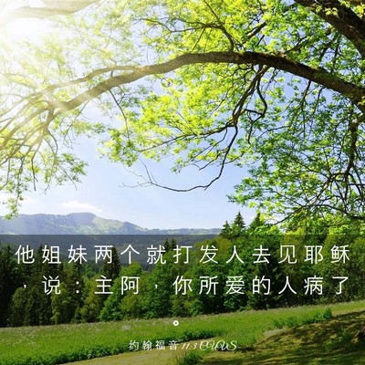Picture 03 - 约 翰 福 音 11:3 CUVS - 他 姐 妹 两 个 就 打 发 人 去 见 耶 - Bible Verse Picture