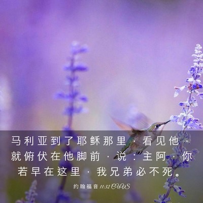 Picture 03 - 约 翰 福 音 11:32 CUVS - 马 利 亚 到 了 耶 稣 那 里 ， 看 见 - Bible Verse Picture