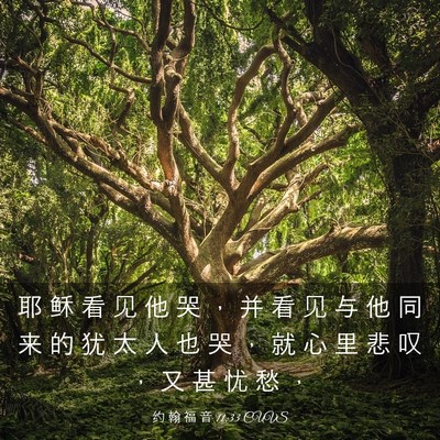 Picture 03 - 约 翰 福 音 11:33 CUVS - 耶 稣 看 见 他 哭 ， 并 看 见 与 他 - Bible Verse Picture