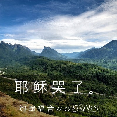 Picture 03 - 约 翰 福 音 11:35 CUVS - 耶 稣 哭 了 - Bible Verse Picture
