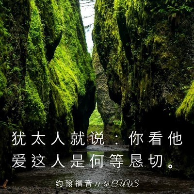 Picture 03 - 约 翰 福 音 11:36 CUVS - 犹 太 人 就 说 ： 你 看 他 爱 这 人 - Bible Verse Picture