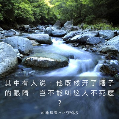 Picture 03 - 约 翰 福 音 11:37 CUVS - 其 中 有 人 说 ： 他 既 然 开 了 瞎 - Bible Verse Picture