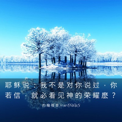 Picture 03 - 约 翰 福 音 11:40 CUVS - 耶 稣 说 ： 我 不 是 对 你 说 过 ， - Bible Verse Picture