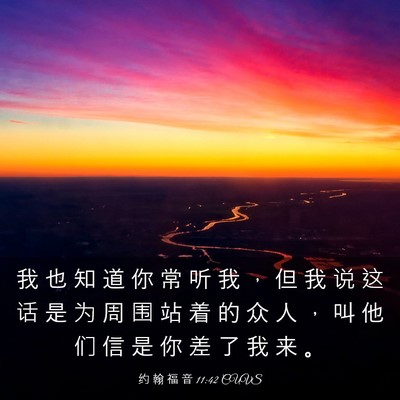 Picture 03 - 约 翰 福 音 11:42 CUVS - 我 也 知 道 你 常 听 我 ， 但 我 说 - Bible Verse Picture