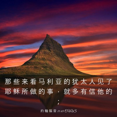 Picture 03 - 约 翰 福 音 11:45 CUVS - 那 些 来 看 马 利 亚 的 犹 太 人 见 - Bible Verse Picture