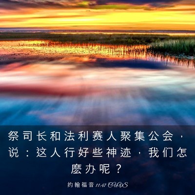 Picture 03 - 约 翰 福 音 11:47 CUVS - 祭 司 长 和 法 利 赛 人 聚 集 公 会 - Bible Verse Picture