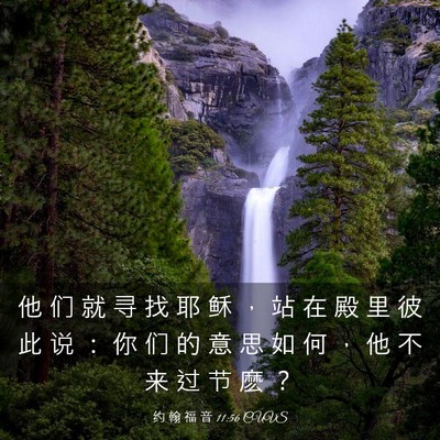 Picture 03 - 约 翰 福 音 11:56 CUVS - 他 们 就 寻 找 耶 稣 ， 站 在 殿 里 - Bible Verse Picture