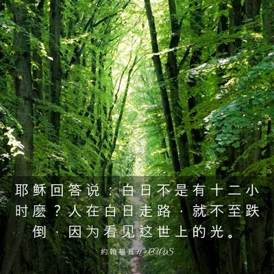 Picture 03 - 约 翰 福 音 11:9 CUVS - 耶 稣 回 答 说 ： 白 日 不 是 有 十 - Bible Verse Picture