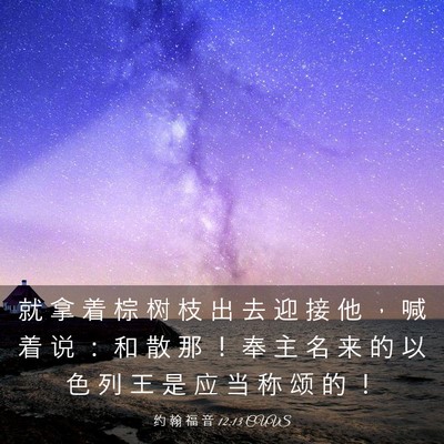 Picture 03 - 约 翰 福 音 12:13 CUVS - 就 拿 着 棕 树 枝 出 去 迎 接 他 ， - Bible Verse Picture
