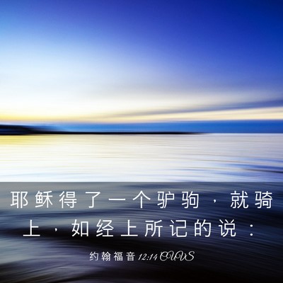 Picture 03 - 约 翰 福 音 12:14 CUVS - 耶 稣 得 了 一 个 驴 驹 ， 就 骑 上 - Bible Verse Picture