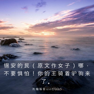 Picture 03 - 约 翰 福 音 12:15 CUVS - 锡 安 的 民 （ 原 文 作 女 子 ） 哪 - Bible Verse Picture