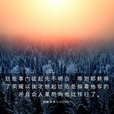 Picture 03 - 约 翰 福 音 12:16 CUVS - 这 些 事 门 徒 起 先 不 明 白 ， 等 - Bible Verse Picture