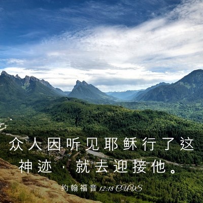 Picture 03 - 约 翰 福 音 12:18 CUVS - 众 人 因 听 见 耶 稣 行 了 这 神 迹 - Bible Verse Picture