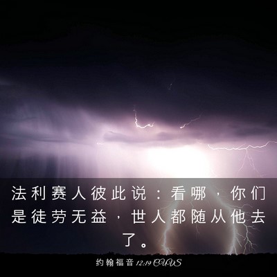 Picture 03 - 约 翰 福 音 12:19 CUVS - 法 利 赛 人 彼 此 说 ： 看 哪 ， 你 - Bible Verse Picture