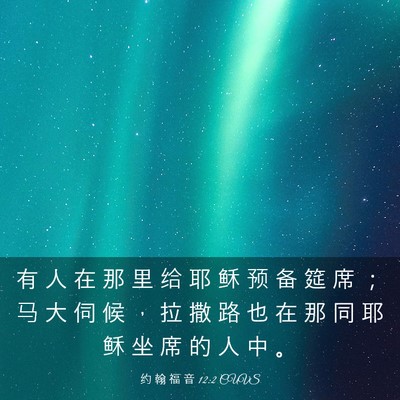 Picture 03 - 约 翰 福 音 12:2 CUVS - 有 人 在 那 里 给 耶 稣 预 备 筵 席 - Bible Verse Picture
