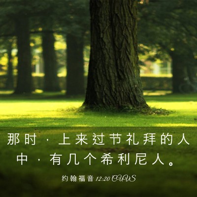 Picture 03 - 约 翰 福 音 12:20 CUVS - 那 时 ， 上 来 过 节 礼 拜 的 人 中 - Bible Verse Picture