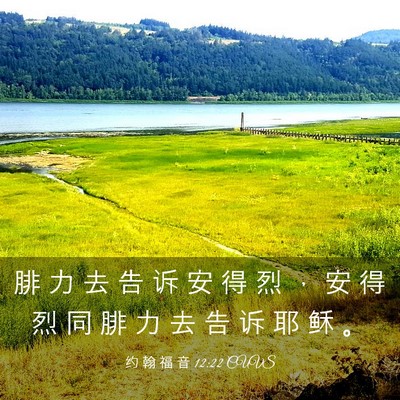 Picture 03 - 约 翰 福 音 12:22 CUVS - 腓 力 去 告 诉 安 得 烈 ， 安 得 烈 - Bible Verse Picture