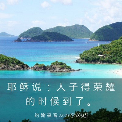 Picture 03 - 约 翰 福 音 12:23 CUVS - 耶 稣 说 ： 人 子 得 荣 耀 的 时 候 - Bible Verse Picture