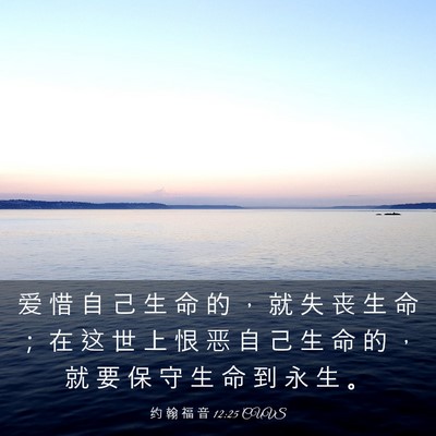 Picture 03 - 约 翰 福 音 12:25 CUVS - 爱 惜 自 己 生 命 的 ， 就 失 丧 生 - Bible Verse Picture