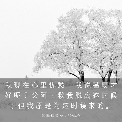 Picture 03 - 约 翰 福 音 12:27 CUVS - 我 现 在 心 里 忧 愁 ， 我 说 甚 麽 - Bible Verse Picture