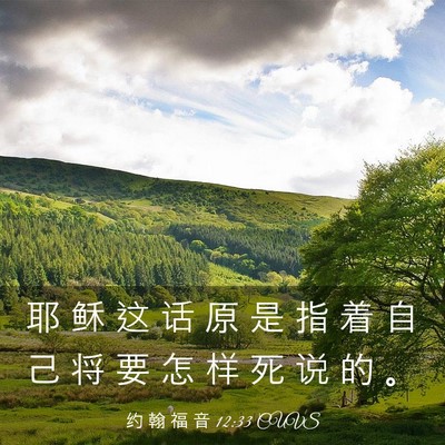 Picture 03 - 约 翰 福 音 12:33 CUVS - 耶 稣 这 话 原 是 指 着 自 己 将 要 - Bible Verse Picture