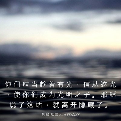 Picture 03 - 约 翰 福 音 12:36 CUVS - 你 们 应 当 趁 着 有 光 ， 信 从 这 - Bible Verse Picture
